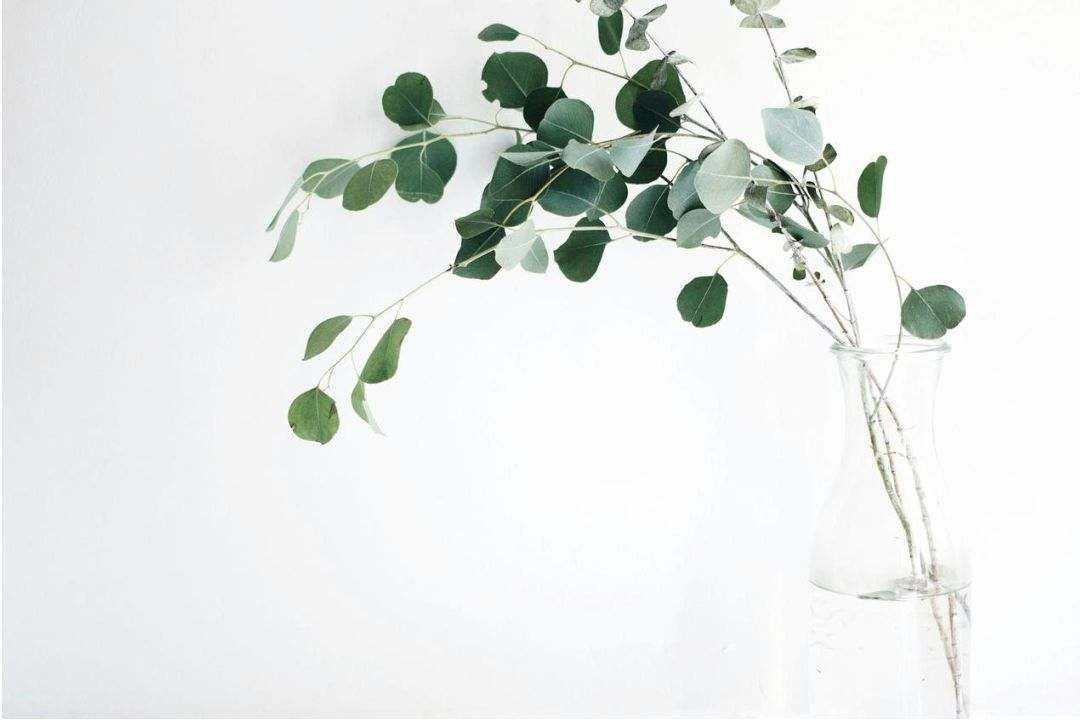 Visual identity sample